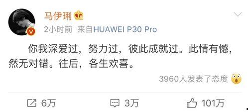 今日吃瓜句子怎么写的,揭秘娱乐圈幕后故事