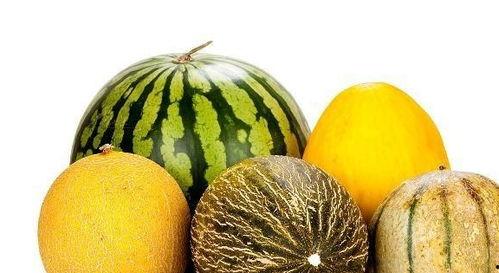 娱乐吃瓜作品有哪些类型